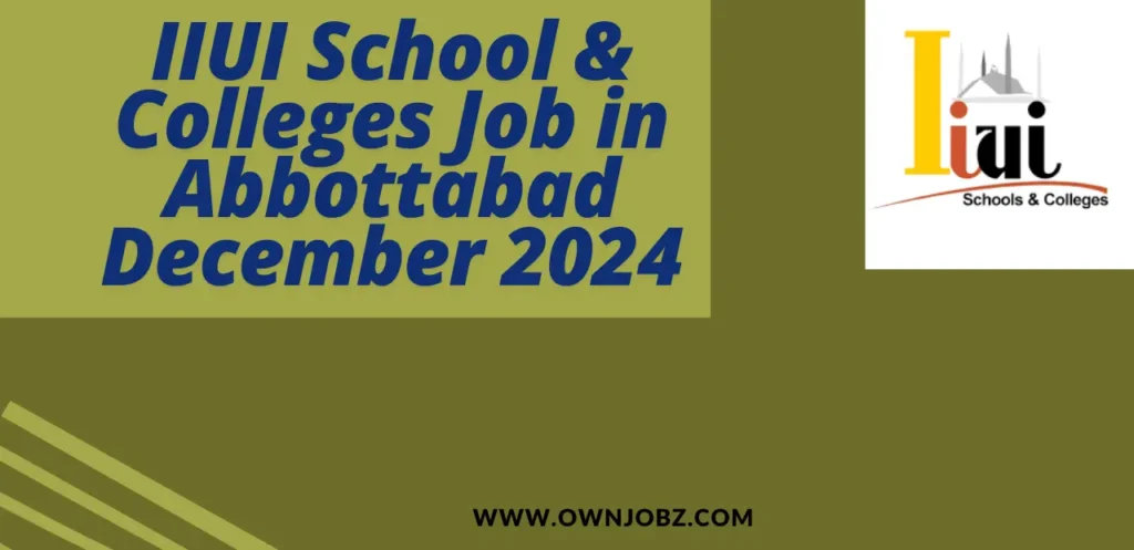 IIUI School & Colleges Job in Abbottabad December 2024